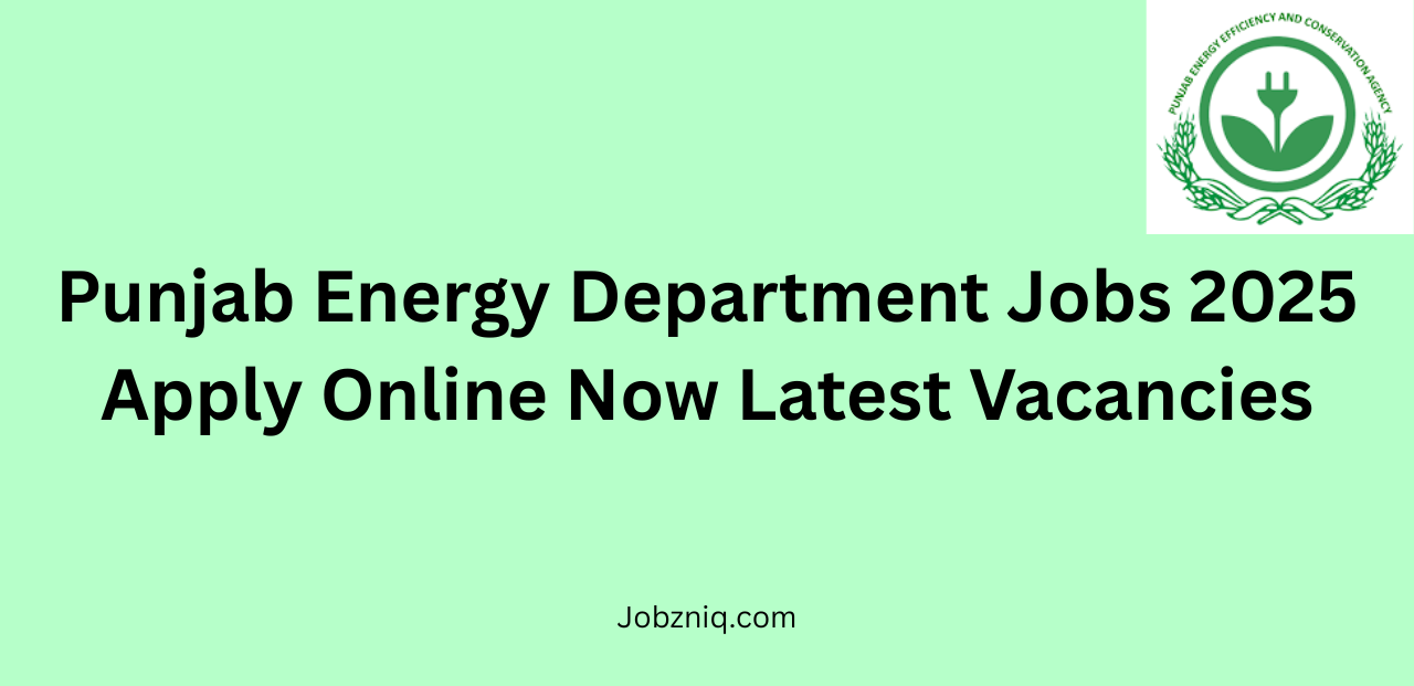Punjab Energy Department Jobs 2025
